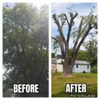 DIAL Services LLC