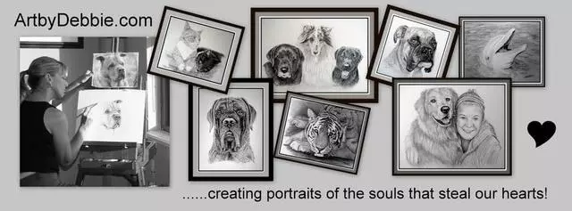 Art by Debbie Radicchi Pet Portraits in Pencil