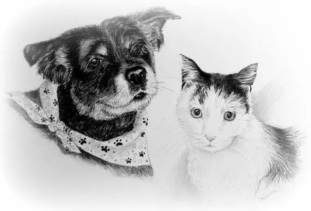 Art by Debbie Radicchi Pet Portraits in Pencil