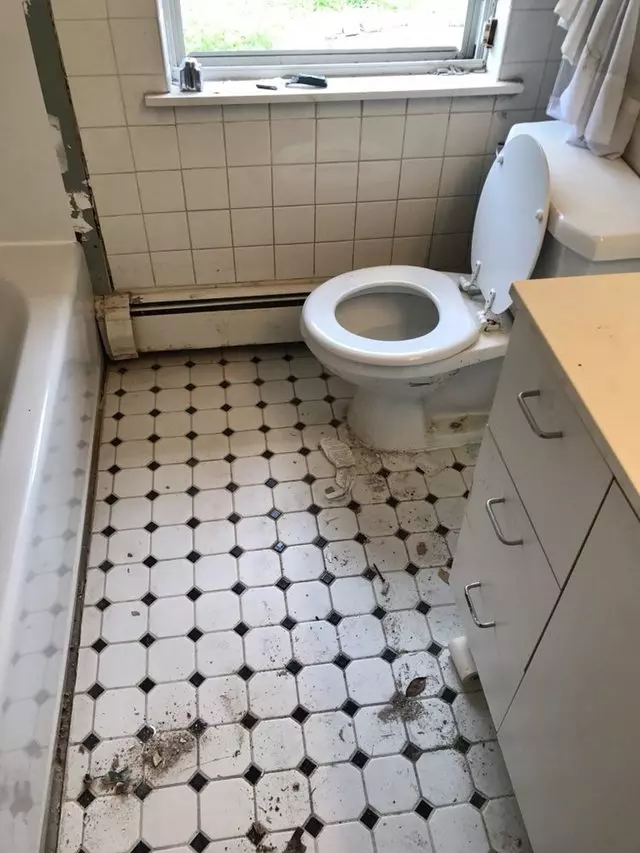 A+ Affordable Cleaning