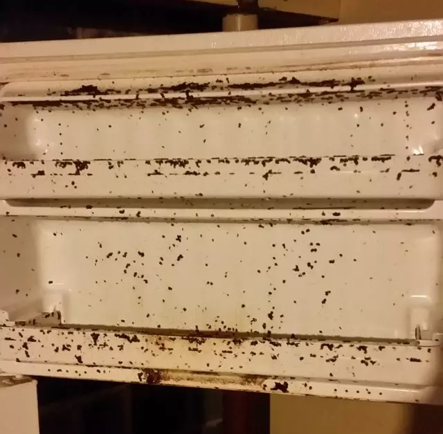 A+ Affordable Cleaning